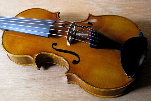6-String Violin. For Betty Widerski